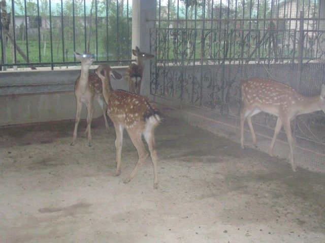 gal/Buddha Tower (China)/China1 (Buddha Tower)/DSCN2326__640x480_.JPG